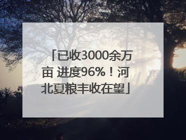 已收3000余万亩 进度96%！河北夏粮丰收在望
